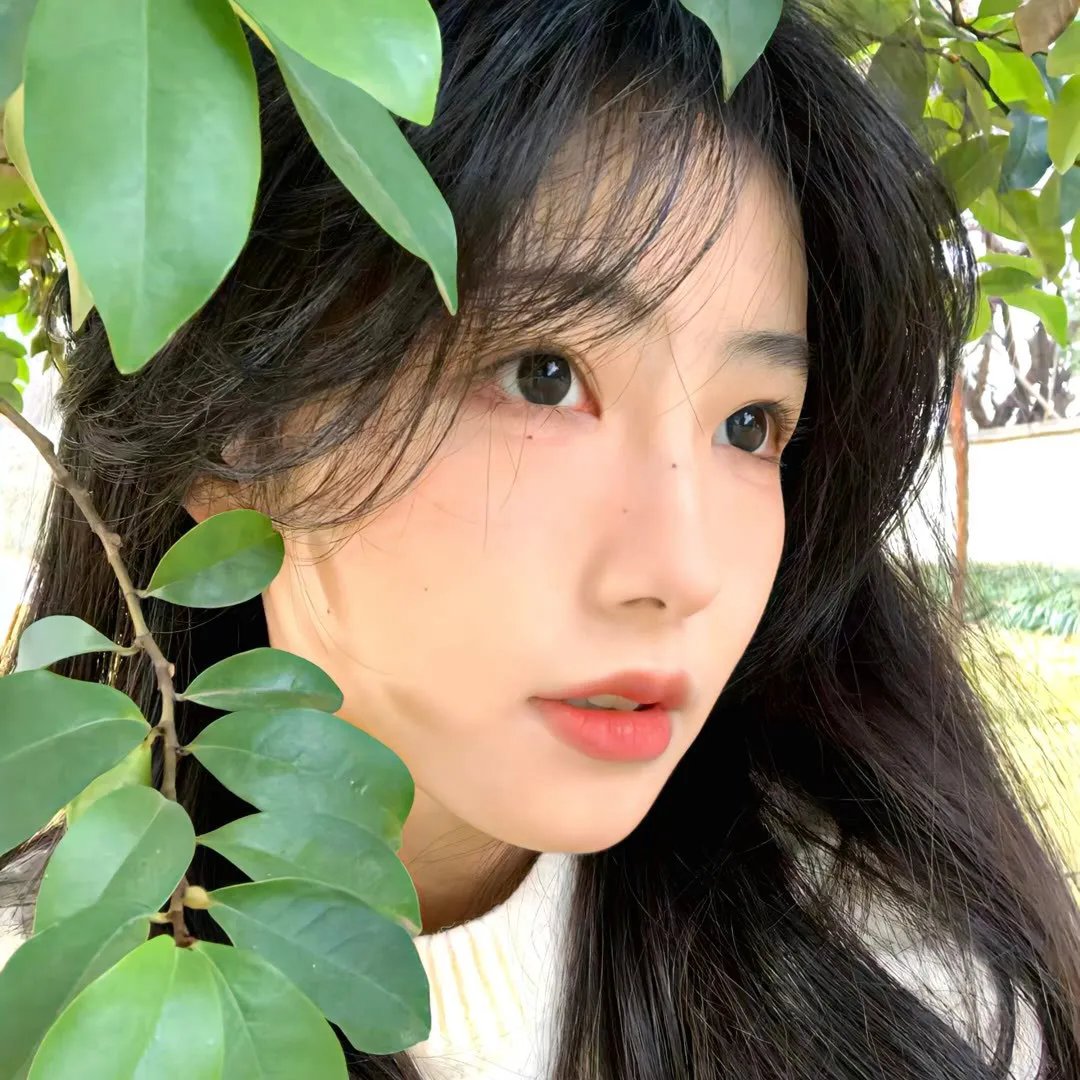 夏树
